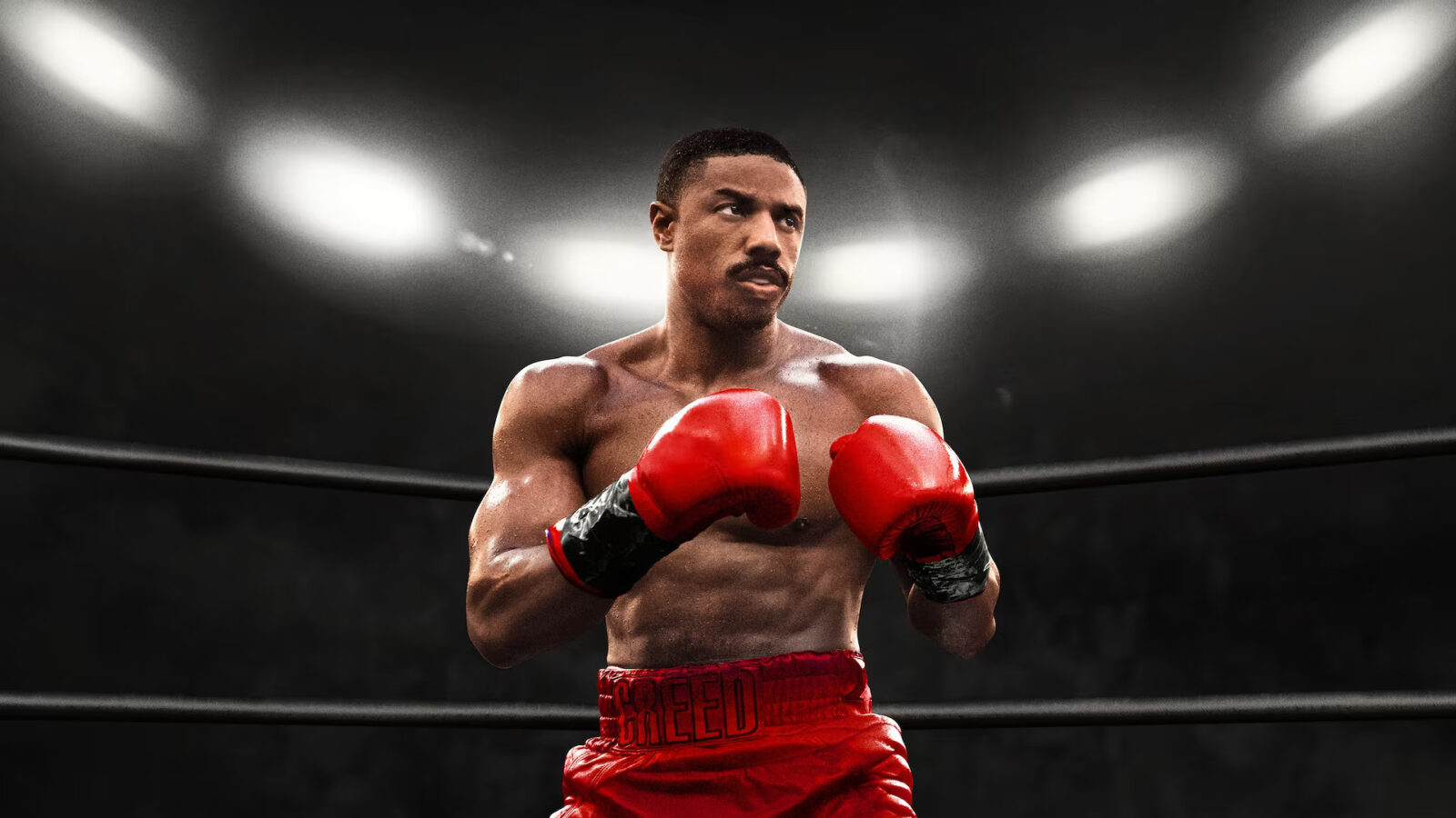 Creed: Rise To Glory - Championship Edition Review - The VR Realm